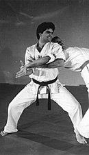 Mastering Hapkido Fighting Cane